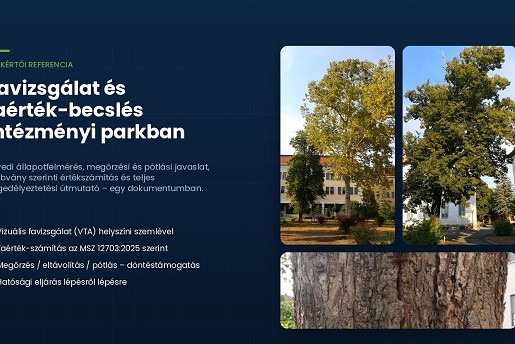 Faállomány vizsgálat és cselekvési terv